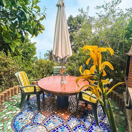 Canarian Cottage With Terrace Surrounded By Garden - Alisios La Orotava Zewnętrze zdjęcie