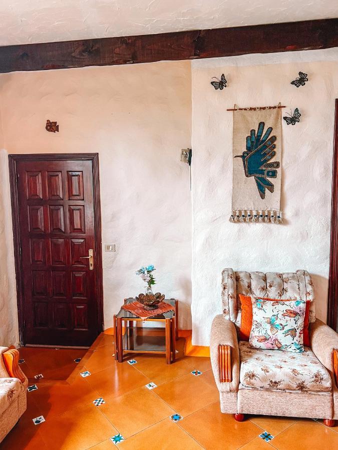 Canarian Cottage With Terrace Surrounded By Garden - Alisios La Orotava Zewnętrze zdjęcie