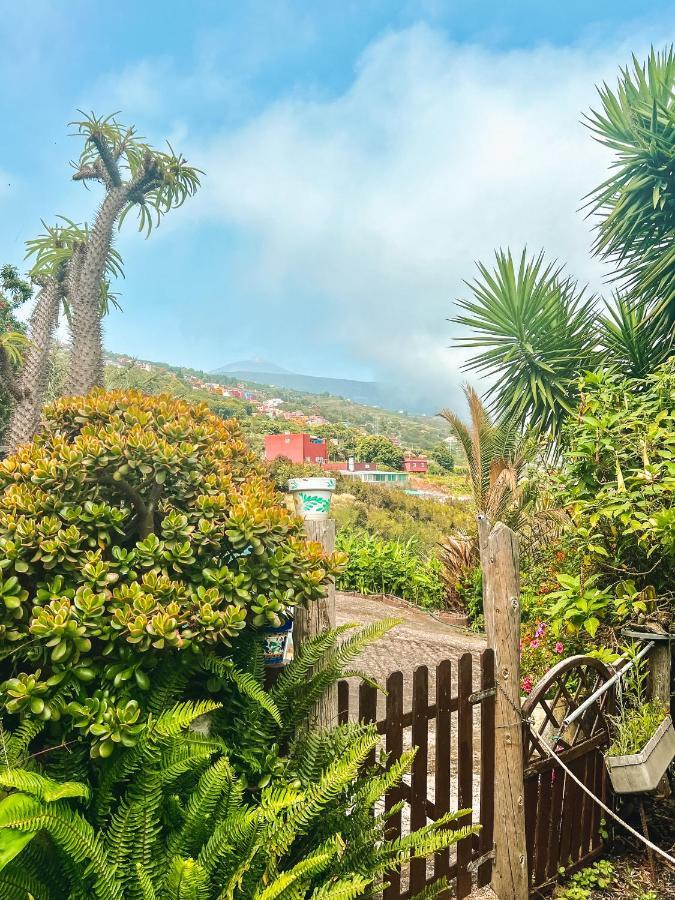 Canarian Cottage With Terrace Surrounded By Garden - Alisios La Orotava Zewnętrze zdjęcie