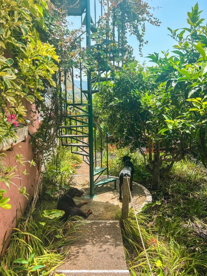 Canarian Cottage With Terrace Surrounded By Garden - Alisios La Orotava Zewnętrze zdjęcie