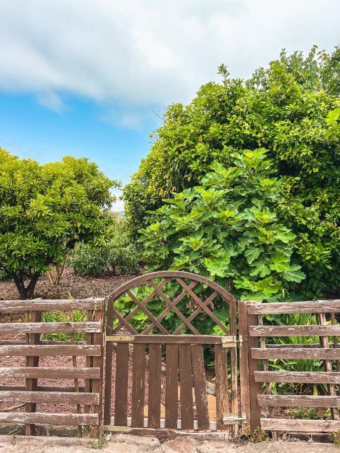 Canarian Cottage With Terrace Surrounded By Garden - Alisios La Orotava Zewnętrze zdjęcie