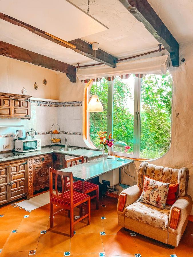 Canarian Cottage With Terrace Surrounded By Garden - Alisios La Orotava Zewnętrze zdjęcie