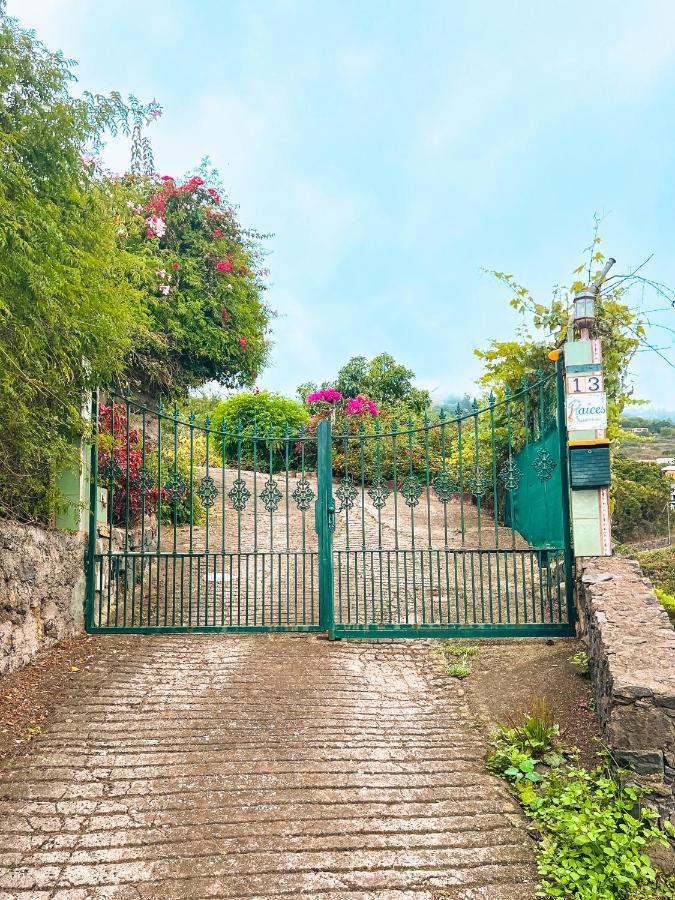 Canarian Cottage With Terrace Surrounded By Garden - Alisios La Orotava Zewnętrze zdjęcie